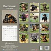 Dachshund Calendar